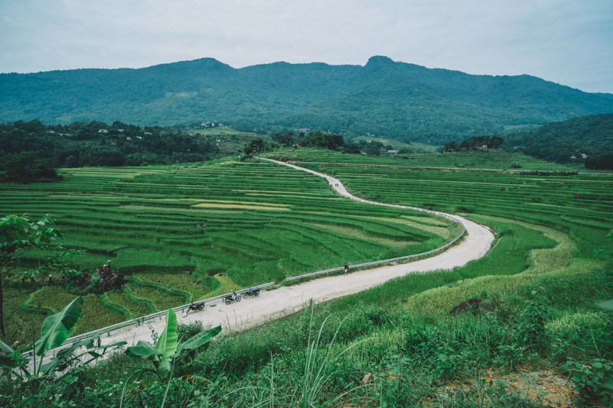 Don Village